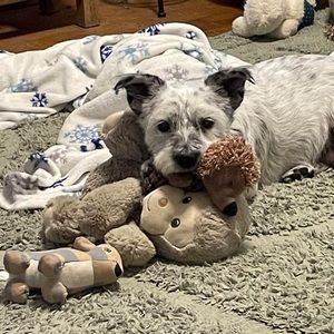 Meet your Posher, Michele